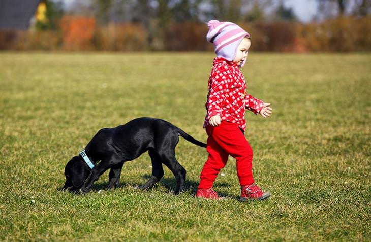 12 Motivos Por Que As Crianças Deveriam Ter Cachorros