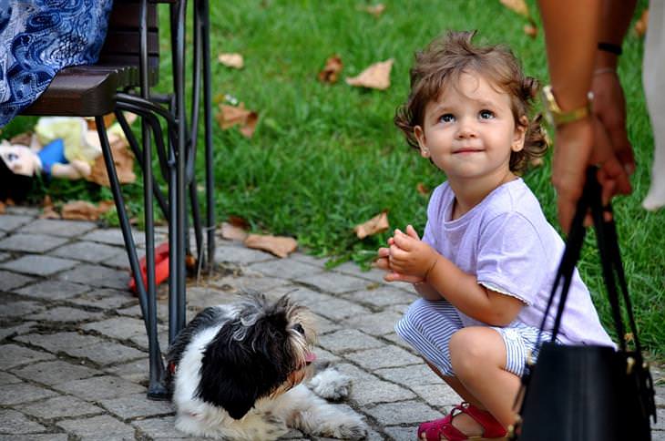12 Motivos Por Que As Crianças Deveriam Ter Cachorros