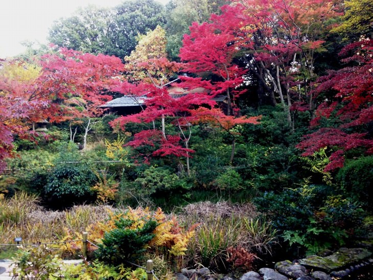 24 dos Mais Belos Jardins Japoneses