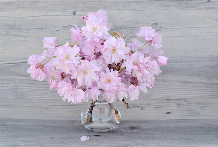 Guia: Mantenha Frescas as Flores no Vaso