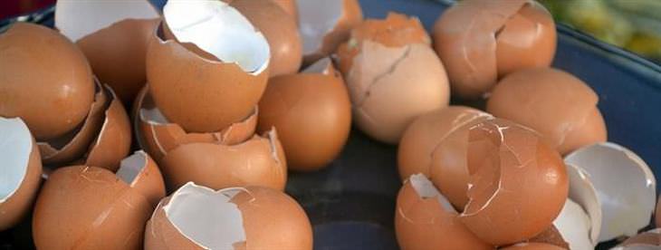 Como usar as cascas de ovos de forma inteligente