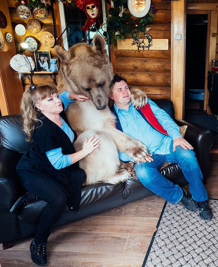 Família que adotou um urso