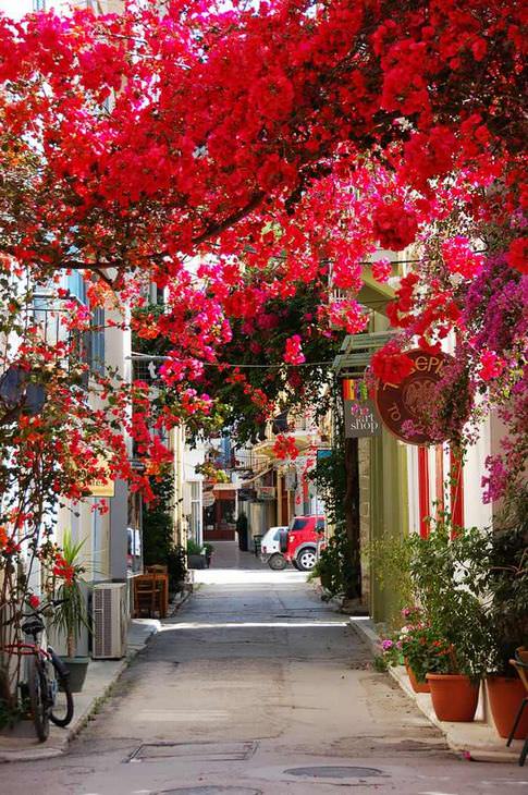 As ruas mais floridas do mundo