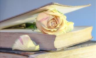 rose inside book