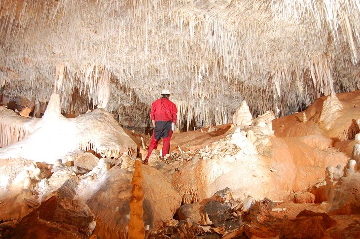 cavernas do parque estadual terra ronca