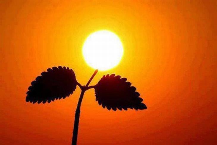 Fotos Que Capturam O Sol De Maneira Mágica!