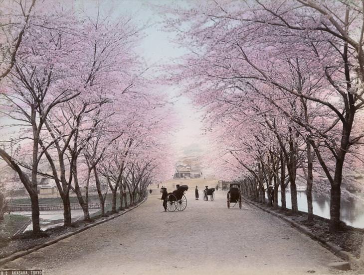 Imagens deslumbrantes que mostram a era  Meiji no Japão