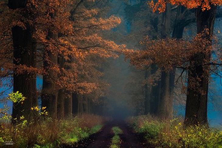 A beleza do outono no leste europeu