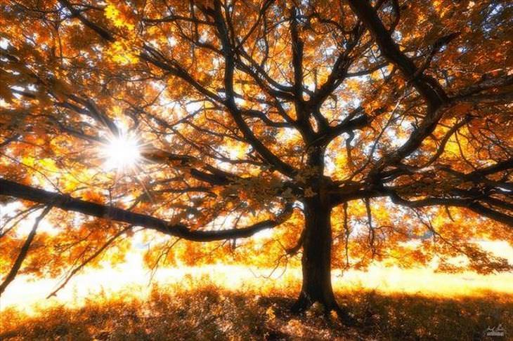 Fotosda beleza do outono no leste europeu