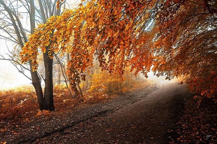 Fotosda beleza do outono no leste europeu