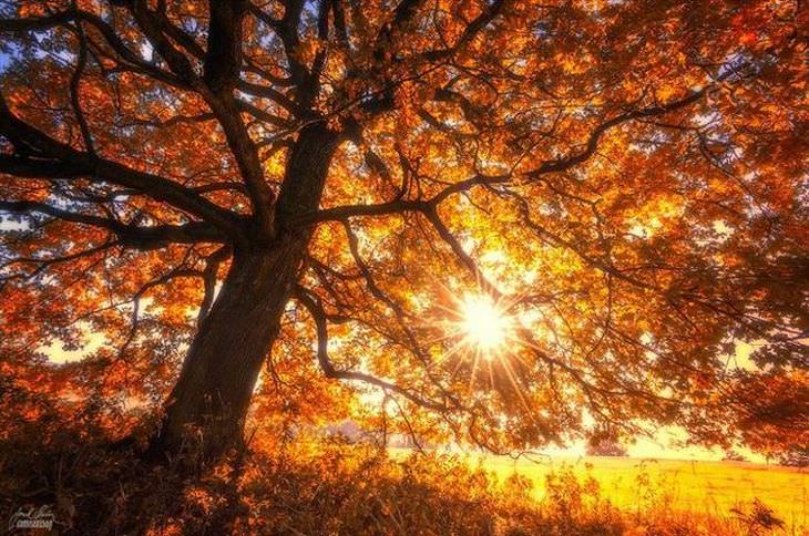 A beleza do outono no leste europeu