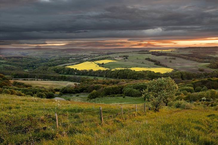 Os belíssimos campos na Inglaterra