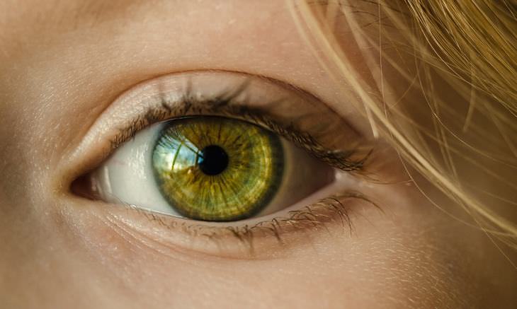 Cientistas encontraram uma maneira de reverter a cegueira relacionada à idade!