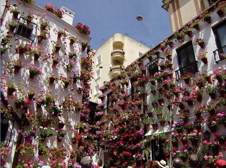 conheça córdoba, a cidade das flores na espanha