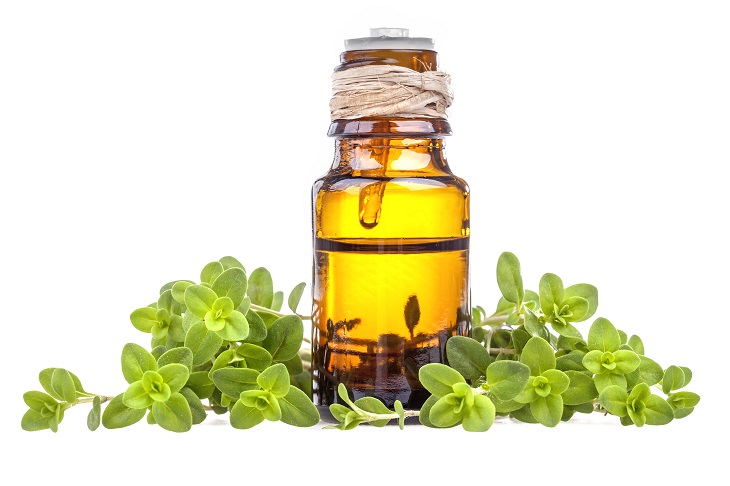 12 óleos essenciais naturais para alívio da dor