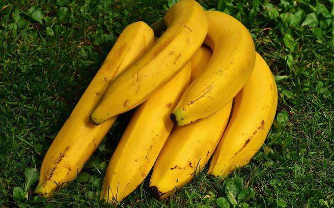 Bananas on grass