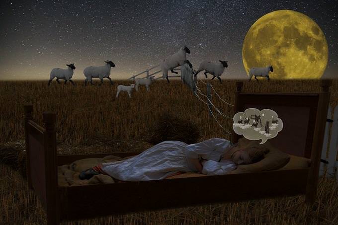 girl dreaming of jumping sheep