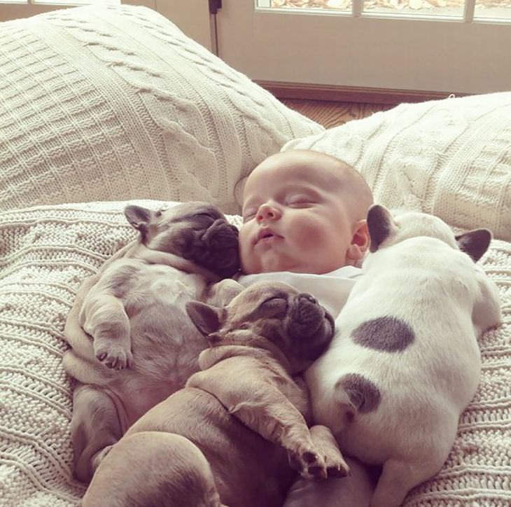 crianças e cachorros fofos na cama tudoporemail