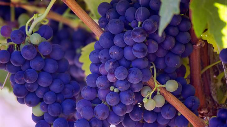 benefícios das uvas