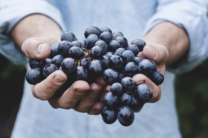 benefícios das uvas