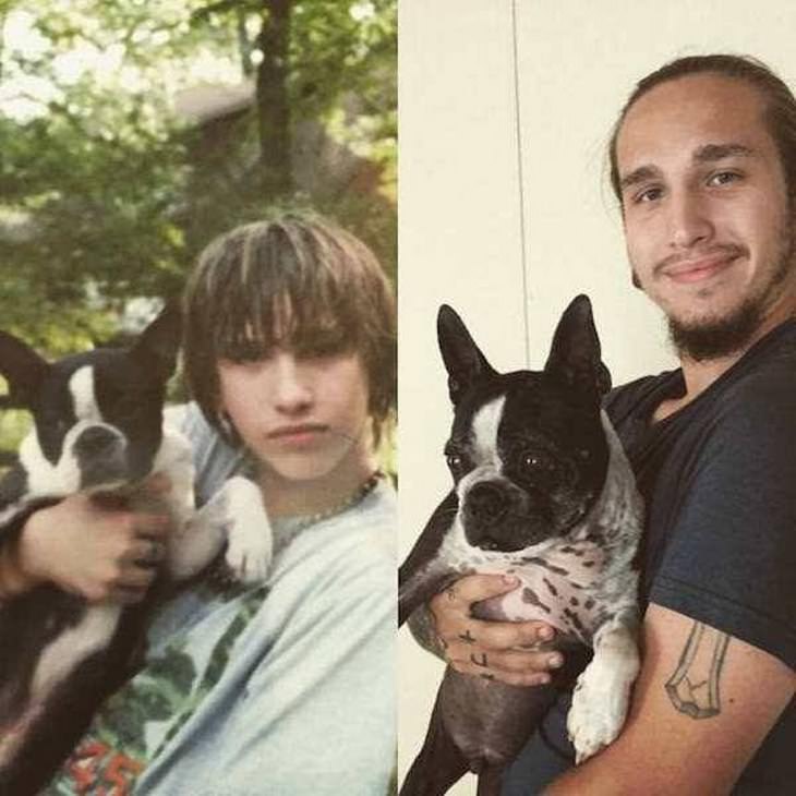 filhotes antes e depois