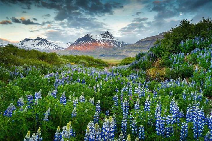 imagens da natureza da islândia