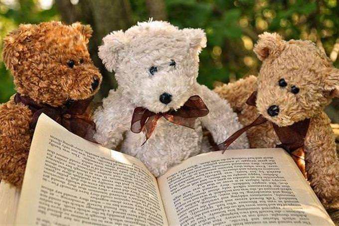 3 ursinhos de pelúcia lendo livro