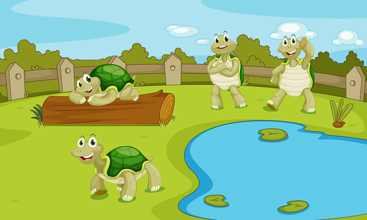 Quatro tartarugas