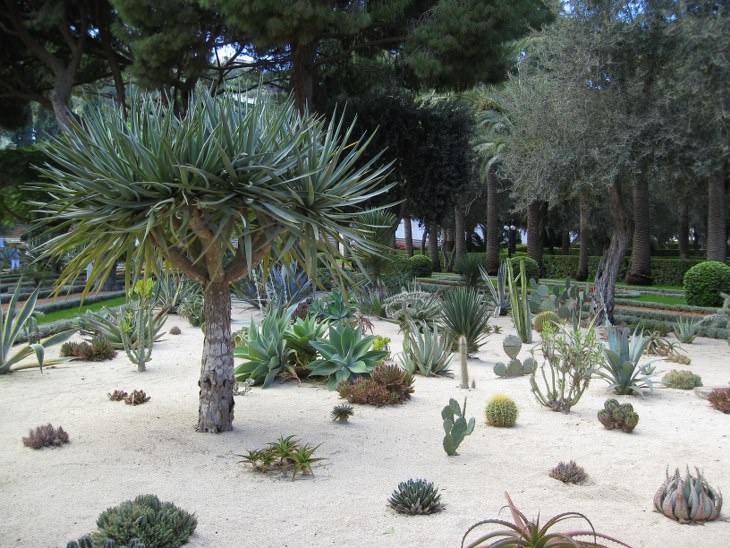 Jardins suspensos de Haifa