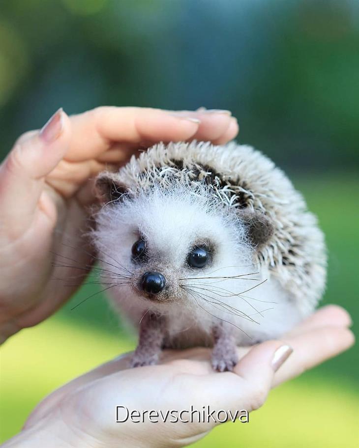 Animais de feltro cardado hedgehog