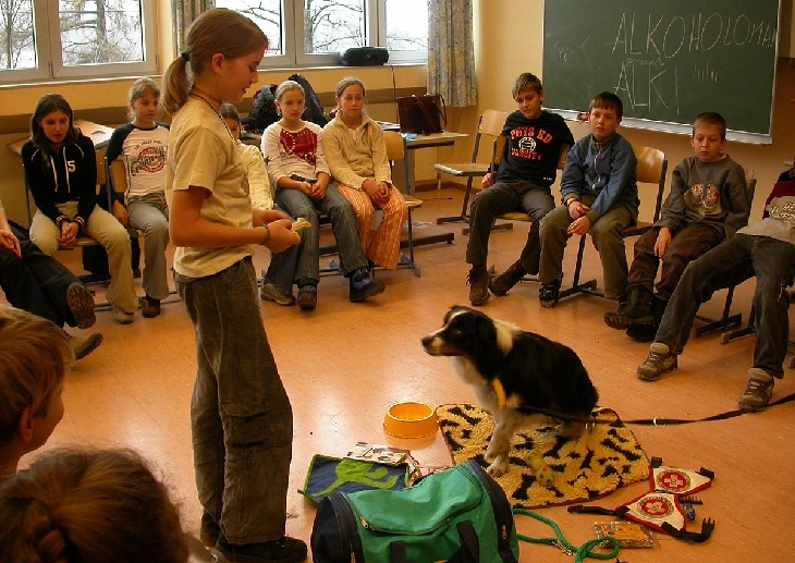 Dogs working: classroom dog