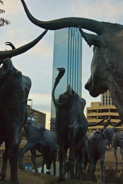 Esculturas Fascinantes - tropa de gado