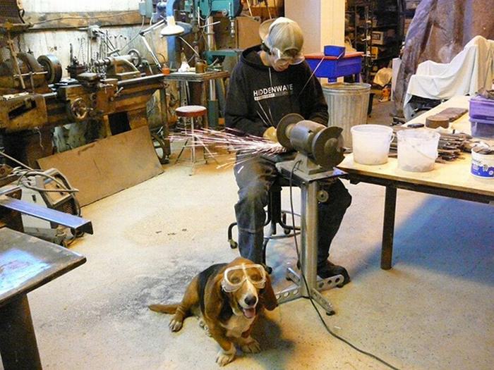 Cachorros com Trabalho de Gente - cão soldador