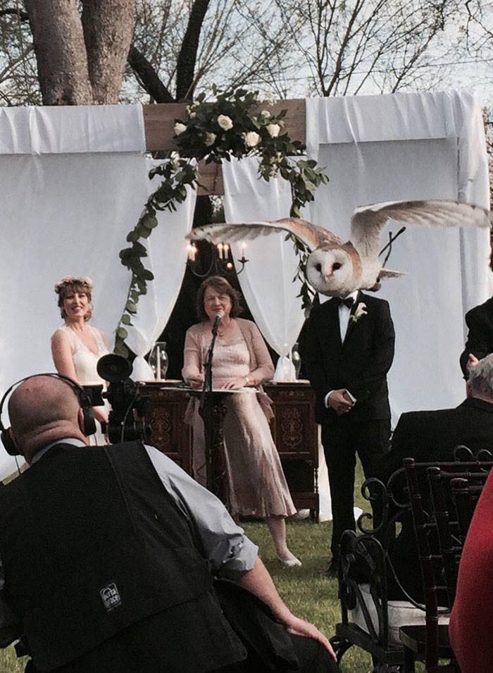 Fotos tiradas na hora certa coruja no casamento