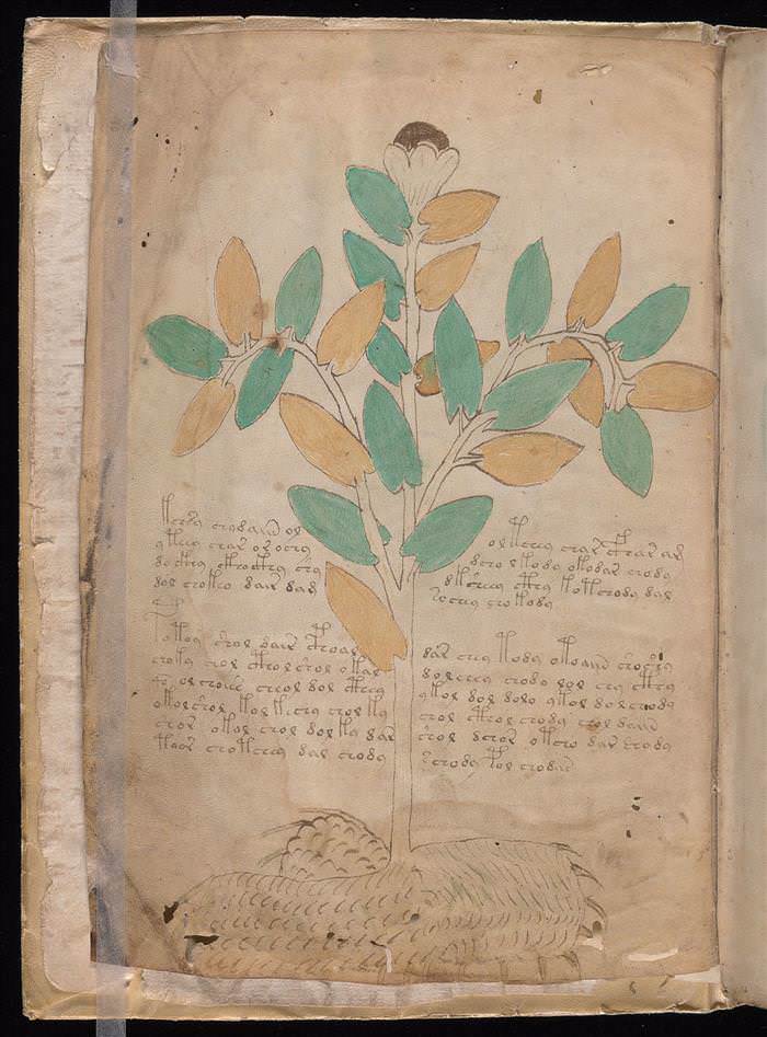 Ancient Manuscript