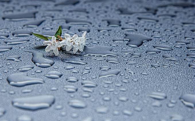 A small bouquet of flowers on the floor next to raindrops