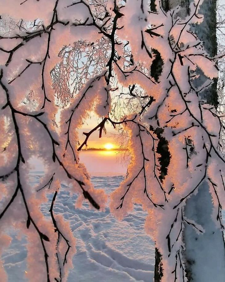 Impressionantes esculturas acidentais de neve 
