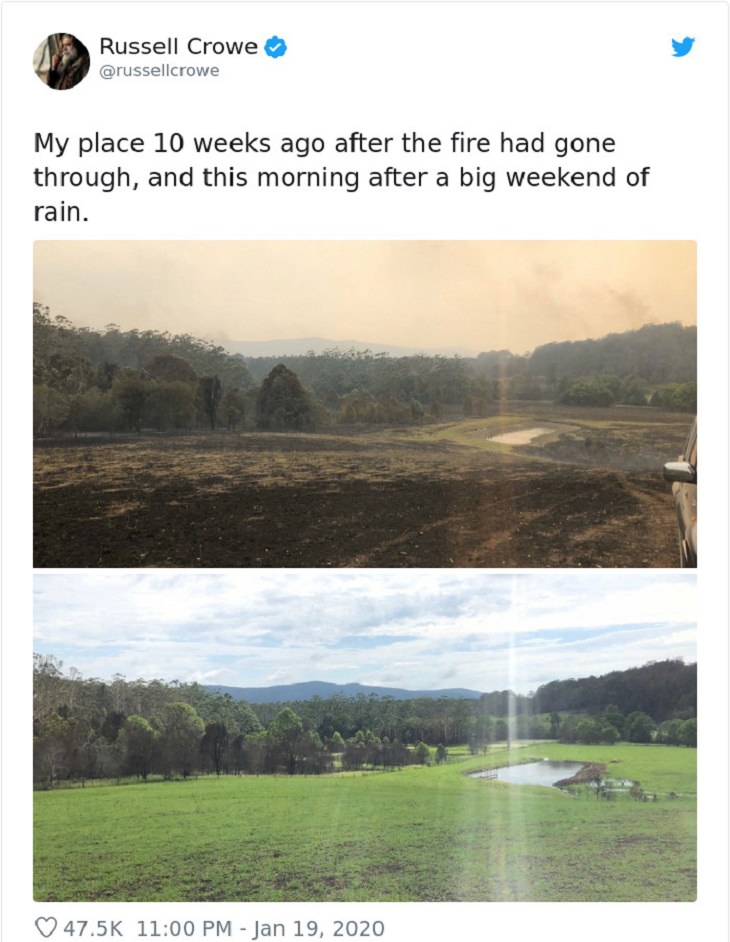 Comparações espantosas campo depois de um incêndio, e antes