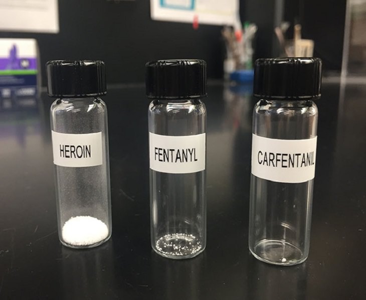 Comparações espantosas doses letais de heroína, fentanil e carfentanil