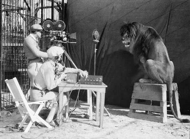 Momentos Que Marcaron La Historia Del Mundo Slats the lion, fue el primer león utilizado para el logotipo de MGM. Nacido en el zoológico de Dublín en 1919, Slats se utilizó en todas las películas de MGM en blanco y negro entre 1924 y 1928.
