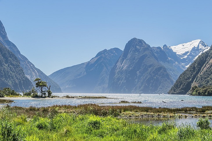 As zonas úmidas de Milford Sound no Parque Nacional de Fiordland