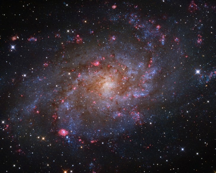 “M33: A Galáxia do Triângulo” de Rui Liao (China)