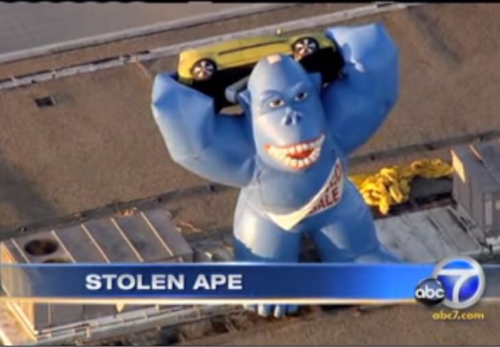 Weirdest, strangest and most bizarre things ever stolen, a 350 pound inflatable balloon of a gorilla, Thrilla, in Simi Valley, California