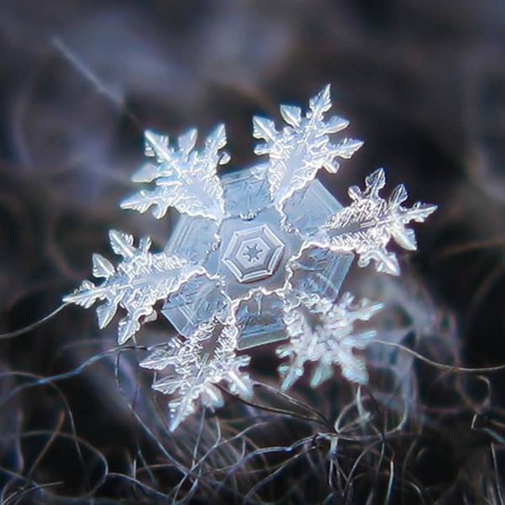 Foto macro de um floco de neve perfeito