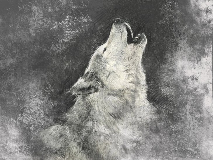 Animais espirituais lobo