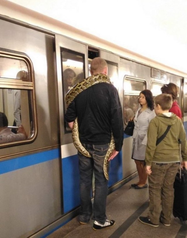 Weird Subway Passengers snake