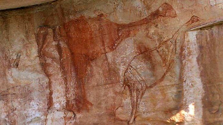 Beautiful artistic creations made by humankind and civilization over time, A 40,000 year old rock painting in Australia, likely one of the oldest and believed to be depicting the large flightless bird, the Genyornis