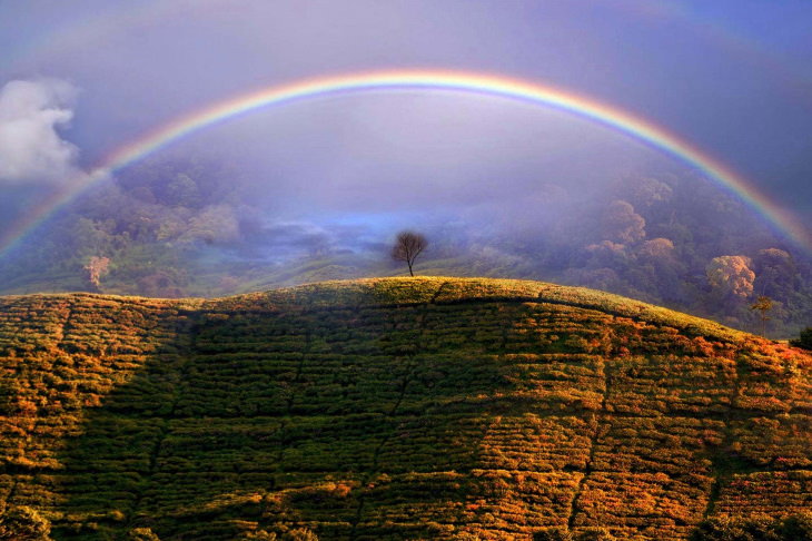 2021 Fotógrafo meteorológico do ano “Misty Rainbow” por Dani Agus Purnomo