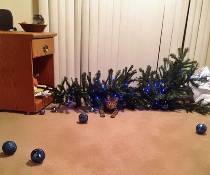 Animais de estimação bagunçando decorações de Natal