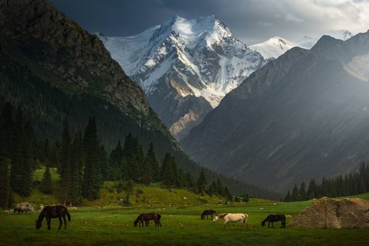 Veja o Quirguistão pelas lentes de Albert Dros